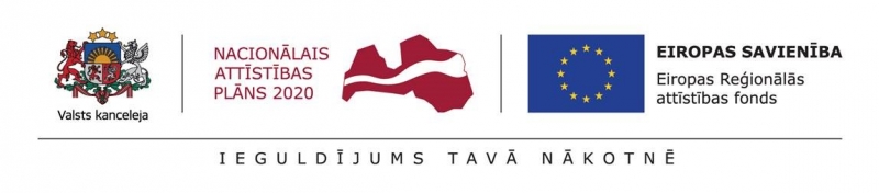 ERAF un NAP 2020 logo