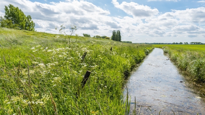 Noteikta jaunu saistību uzņemšana lauku attīstības platību maksājumiem