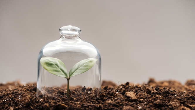 Valdība apstiprina finansējumu nevalstiskajām organizācijām Covid-19 krīzes seku mazināšanai