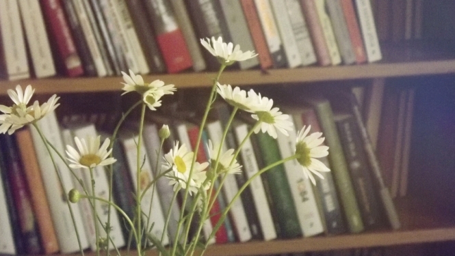 Valdība apstiprina valsts pētījumu programmu “Latviešu valoda”