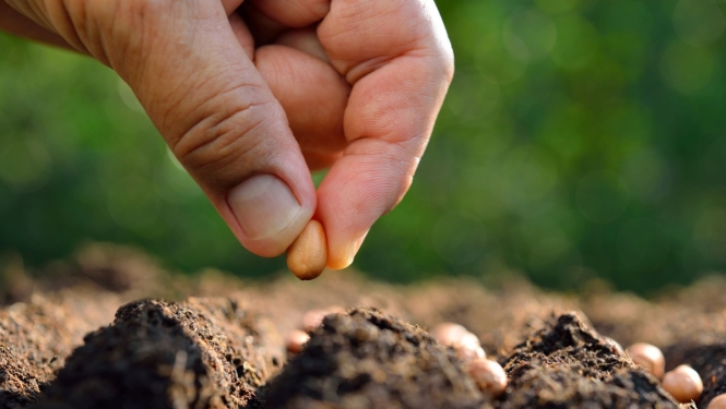Par lauksaimniecības zemes neizmantošanu lauksaimnieciskajā darbībā plānota administratīvā atbildība