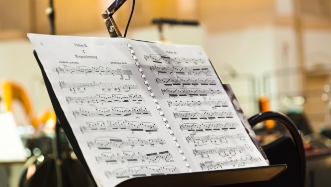 Valdība paplašina VKKF mērķprogrammas “Radošo personu nodarbinātības programma” atbalsta pretendentu loku