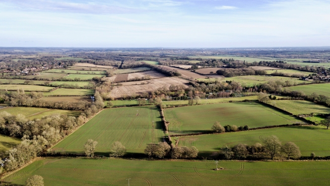 Apstiprināta ES ārkārtas atbalsta piešķiršanas kārtība lauksaimniekiem
