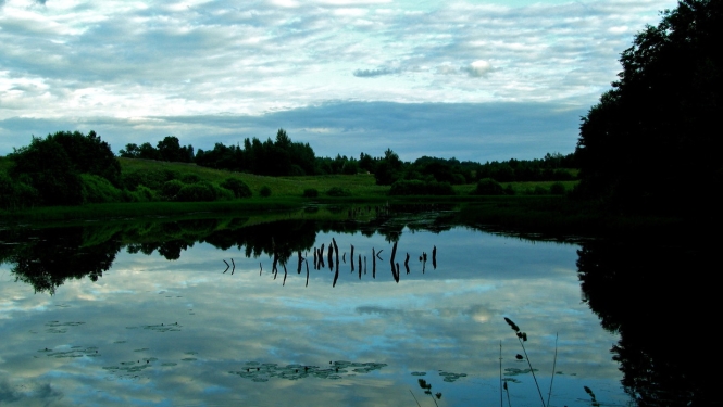 KVP: Rudens lietavu un plūdu izraisītās sekas mežsaimniecībā ir definējamas kā valsts mēroga dabas katastrofa