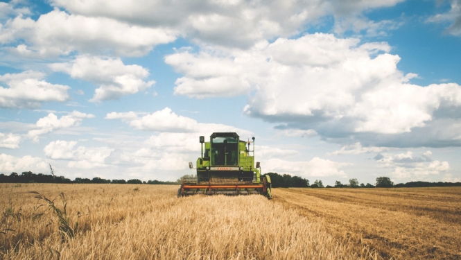 Valdība groza noteikumus par valsts atbalstu lauksaimniecībai
