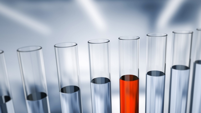 Apstiprināti jauni noteikumi par zinātniskiem mērķiem izmantojamo dzīvnieku aizsardzību