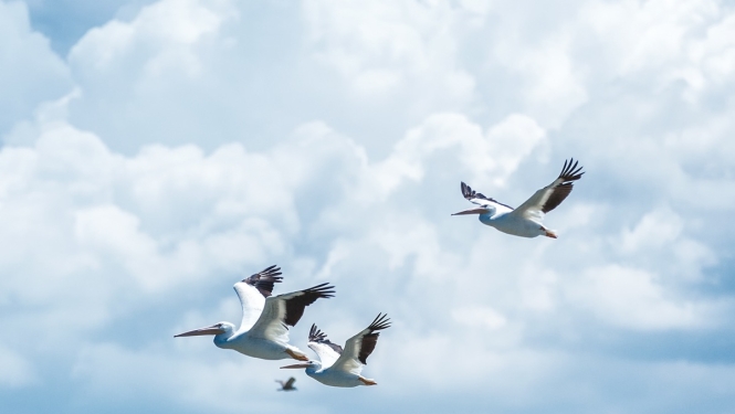 Valdība piešķir 8538 eiro pabalstu trīnīšu ģimenei