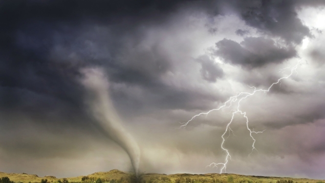 Apstiprina vienotu kārtību, kādā nodrošināma valsts materiālo rezervju izmantošana