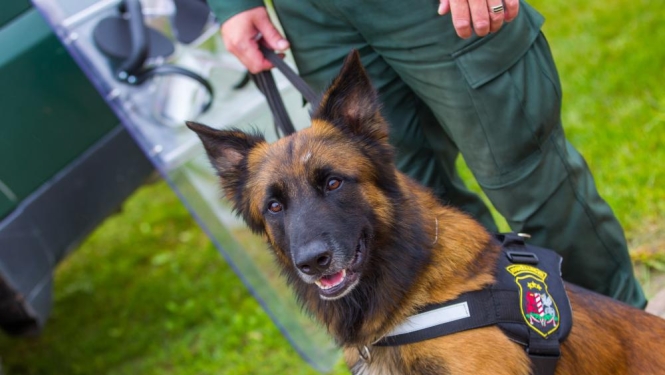 Valsts robežas likumā paredz atbildību par kaitējumu robežas drošībai