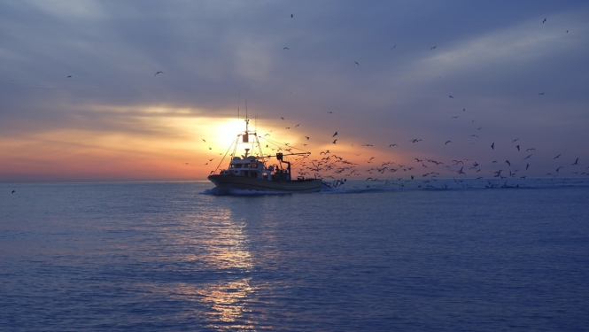 Paaugstināta attiecināmā atbalsta intensitāte kredītprocentu daļējai dzēšanai zvejniecībā