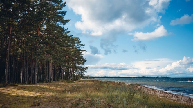 No 15. maija atļauts veikt starptautiskos pasažieru pārvadājumus starp Baltijas valstīm