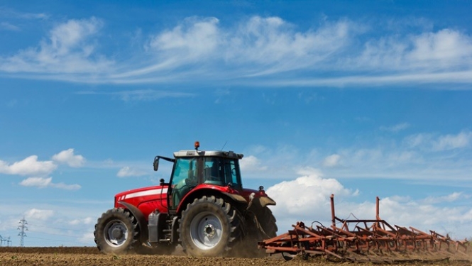 Apstiprina valsts atbalsta – 4 miljonu eiro – piešķiršanas kārtību mazajiem lauksaimniekiem