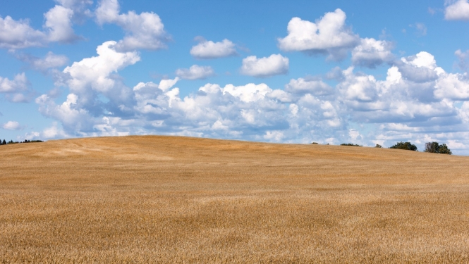 Atbalsta summa lauksaimniecībā izmantojamās zemes iegādei palielināta par 20 miljoniem eiro