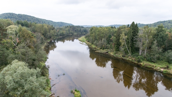 Valsts nodevu par mežsaimnieciskām darbībām varēs maksāt avansā