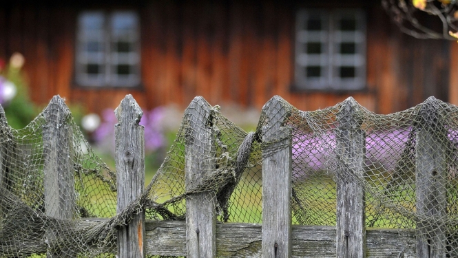 Palielināts atbalsts augstākas pievienotās vērtības produkcijas radīšanai zivsaimniecībā