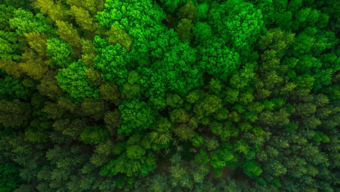 VARAM: Mērķtiecīga ainavu politika veicina teritoriju attīstību