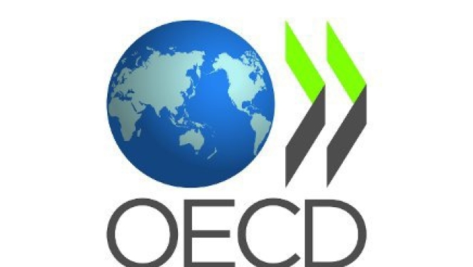 Izskata informatīvo ziņojumu par OECD rekomendāciju ieviešanu progresu