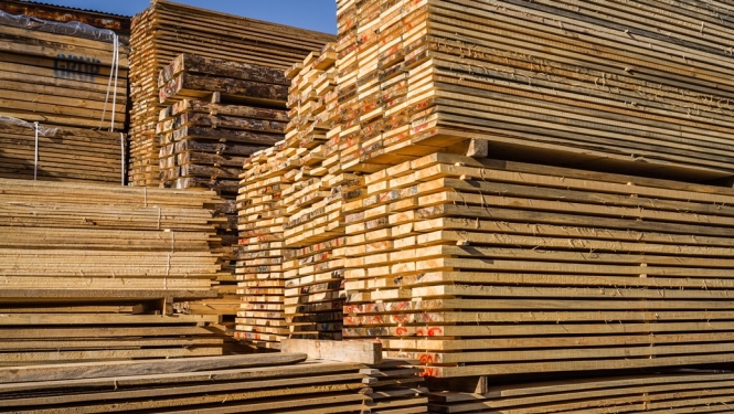 MK lemj par UIN atlaides piešķiršanu diviem kokrūpniecības uzņēmumiem – SIA “AmberBirch” un SIA “Rettenmeier Baltic Timber”