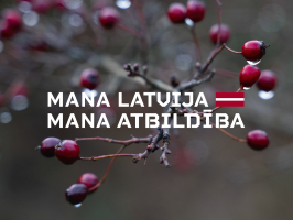 Latvijas karogs. Uzraksts "Mana Latvija. Mana atbildība". Fonā zars ar sarkanām ogām. 