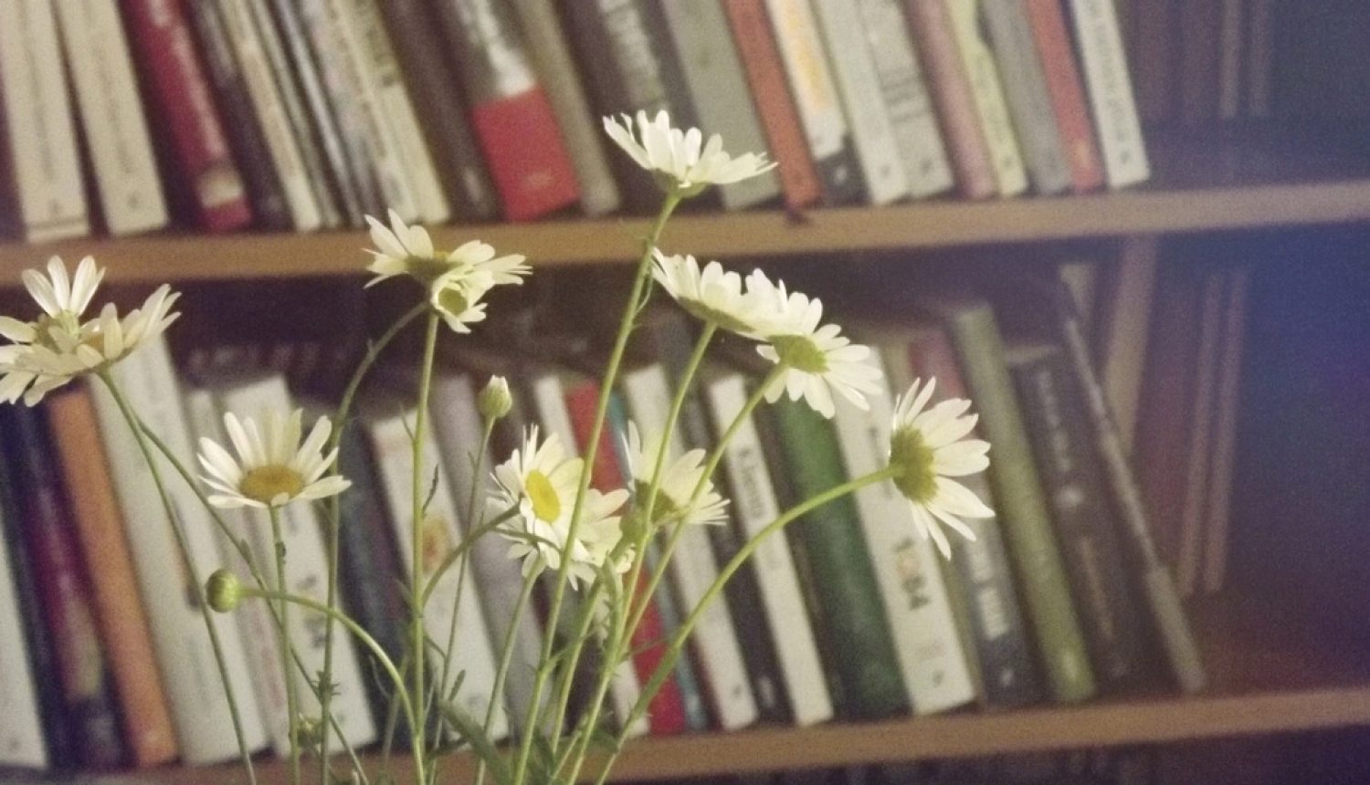 Valdība apstiprina valsts pētījumu programmu “Latviešu valoda”