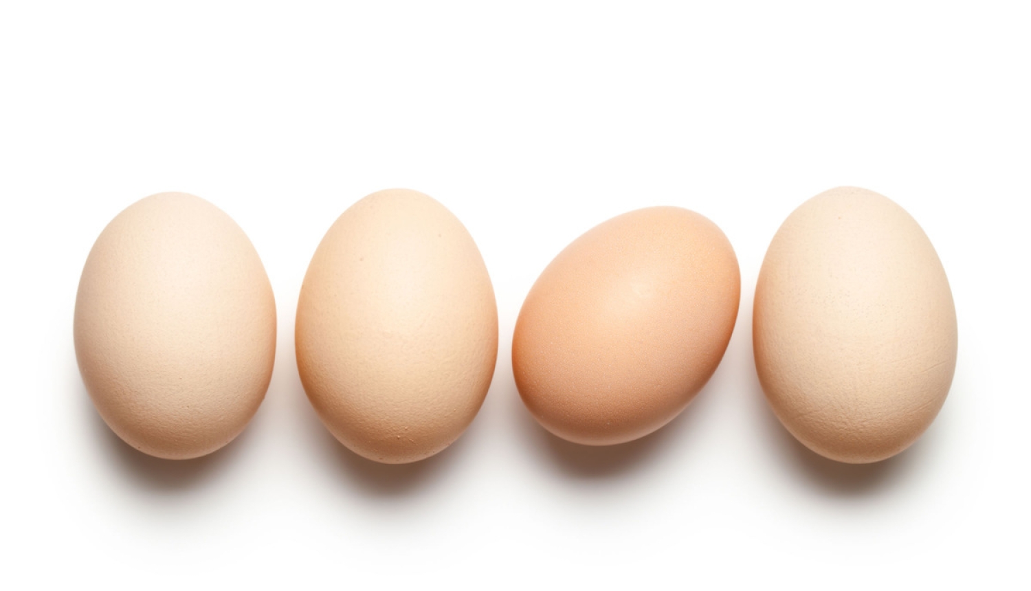 Atvieglo iespējas mazumtirdzniecības uzņēmumiem labdarībai ziedot dzīvnieku izcelsmes pārtiku