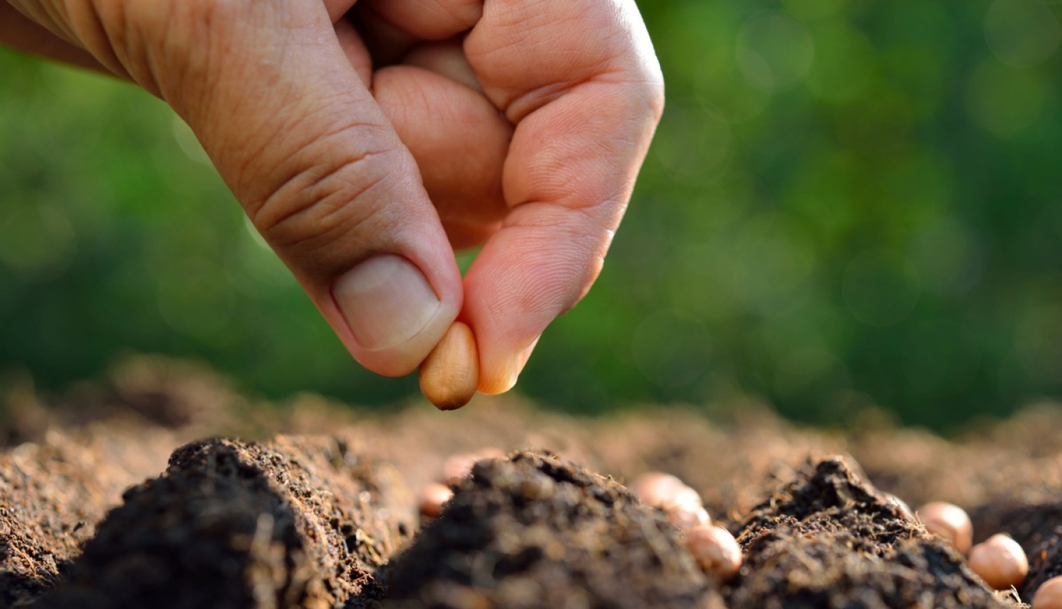 Par lauksaimniecības zemes neizmantošanu lauksaimnieciskajā darbībā plānota administratīvā atbildība