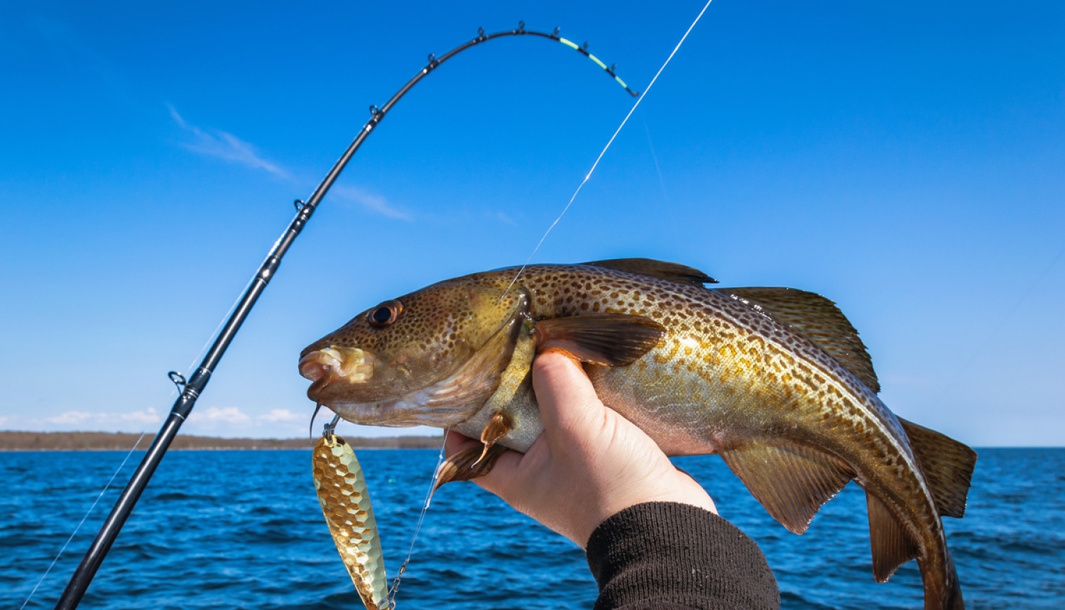 Atbalstīs zvejas kuģu īpašniekus un apkalpi mencu zvejas lieguma laikā
