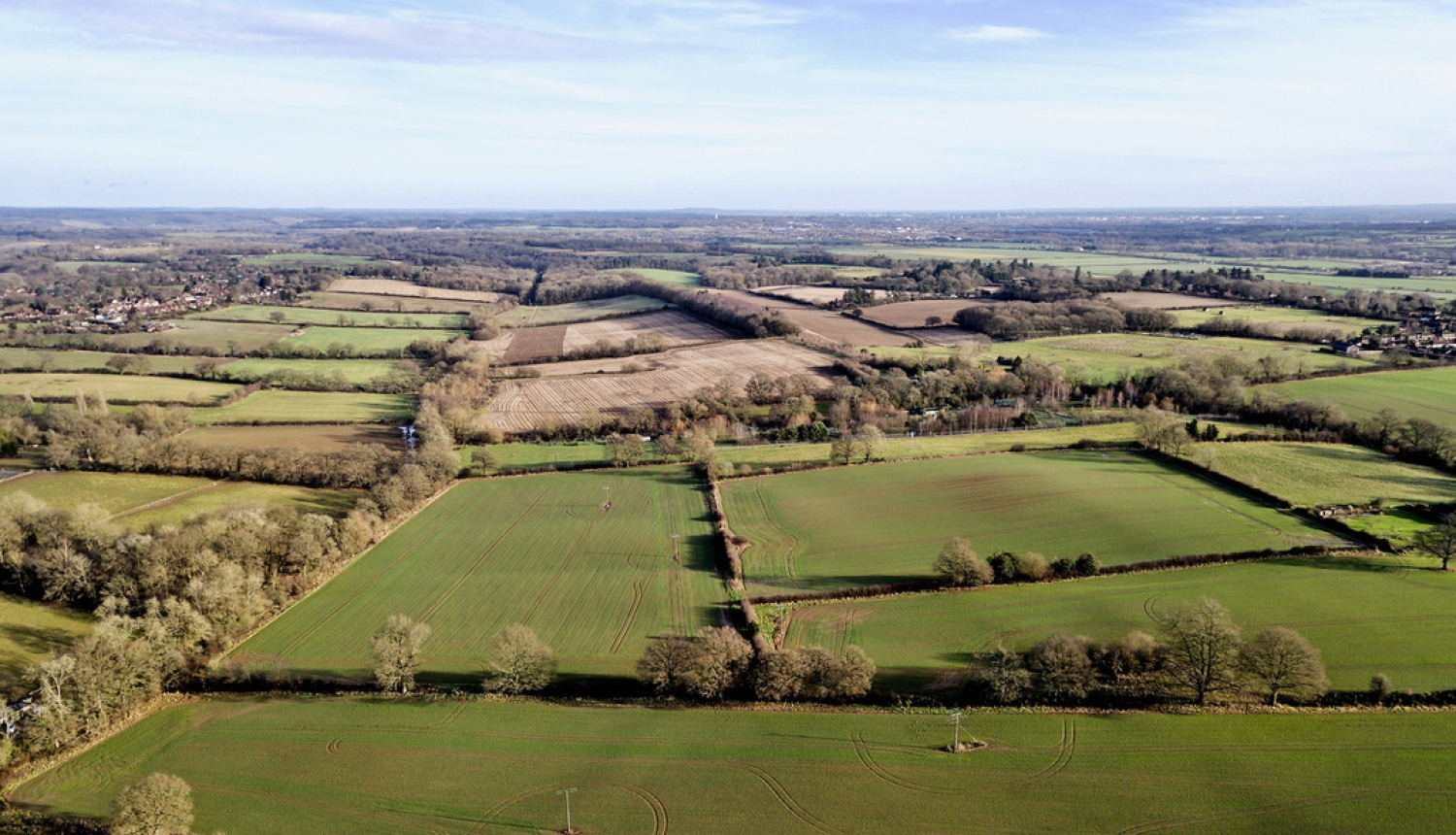 Apstiprināta ES ārkārtas atbalsta piešķiršanas kārtība lauksaimniekiem