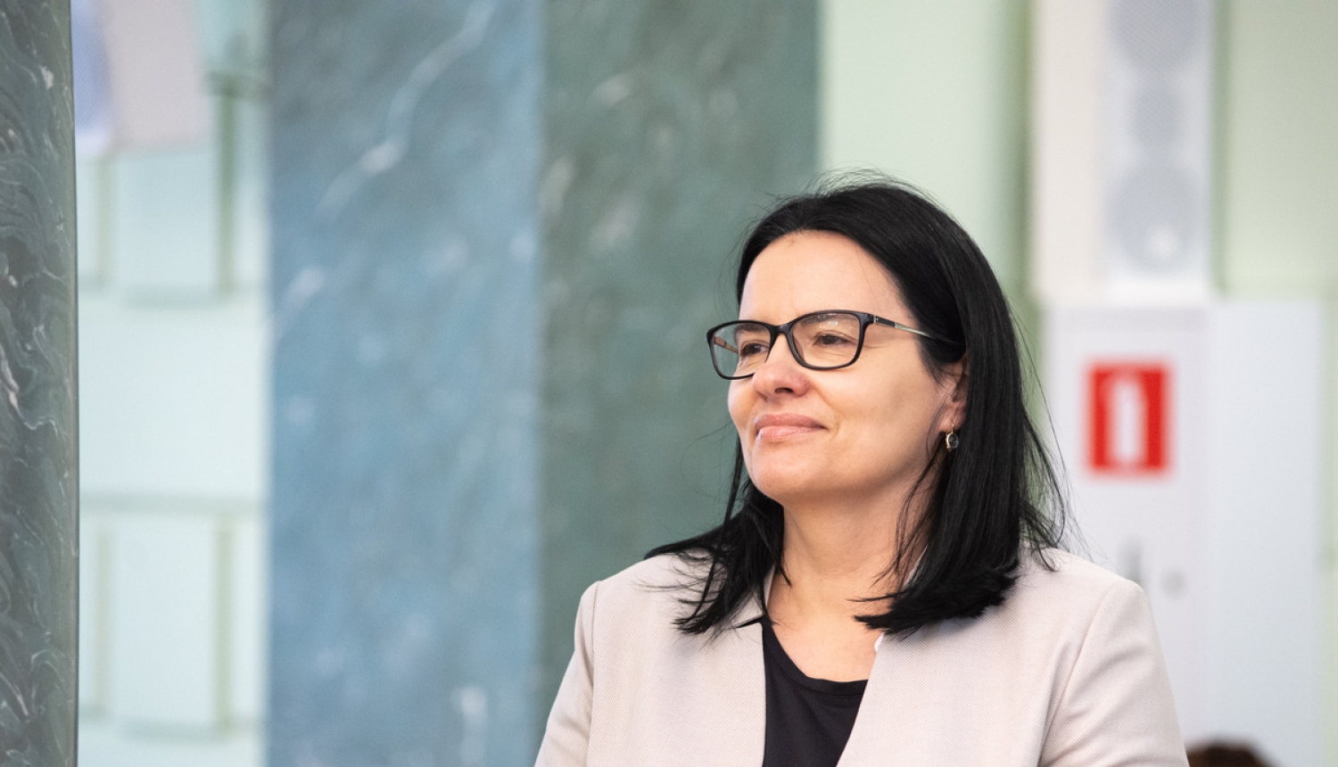 Satiksmes ministrijas valsts sekretāra amatā apstiprina Ilondu Stepanovu