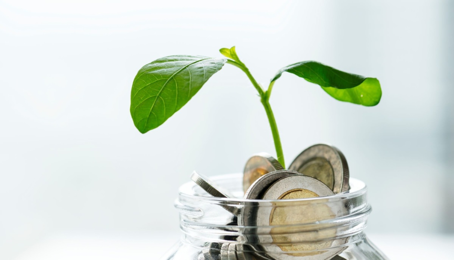 EM prioritātes 2019. gadam – OIK, eksports, investīcijas un mājokļu pieejamība