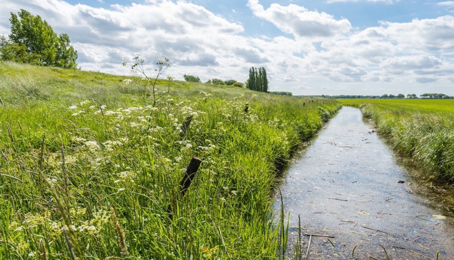 Atjaunotas prasības meliorācijas sistēmu reģistrēšanai meliorācijas kadastrā