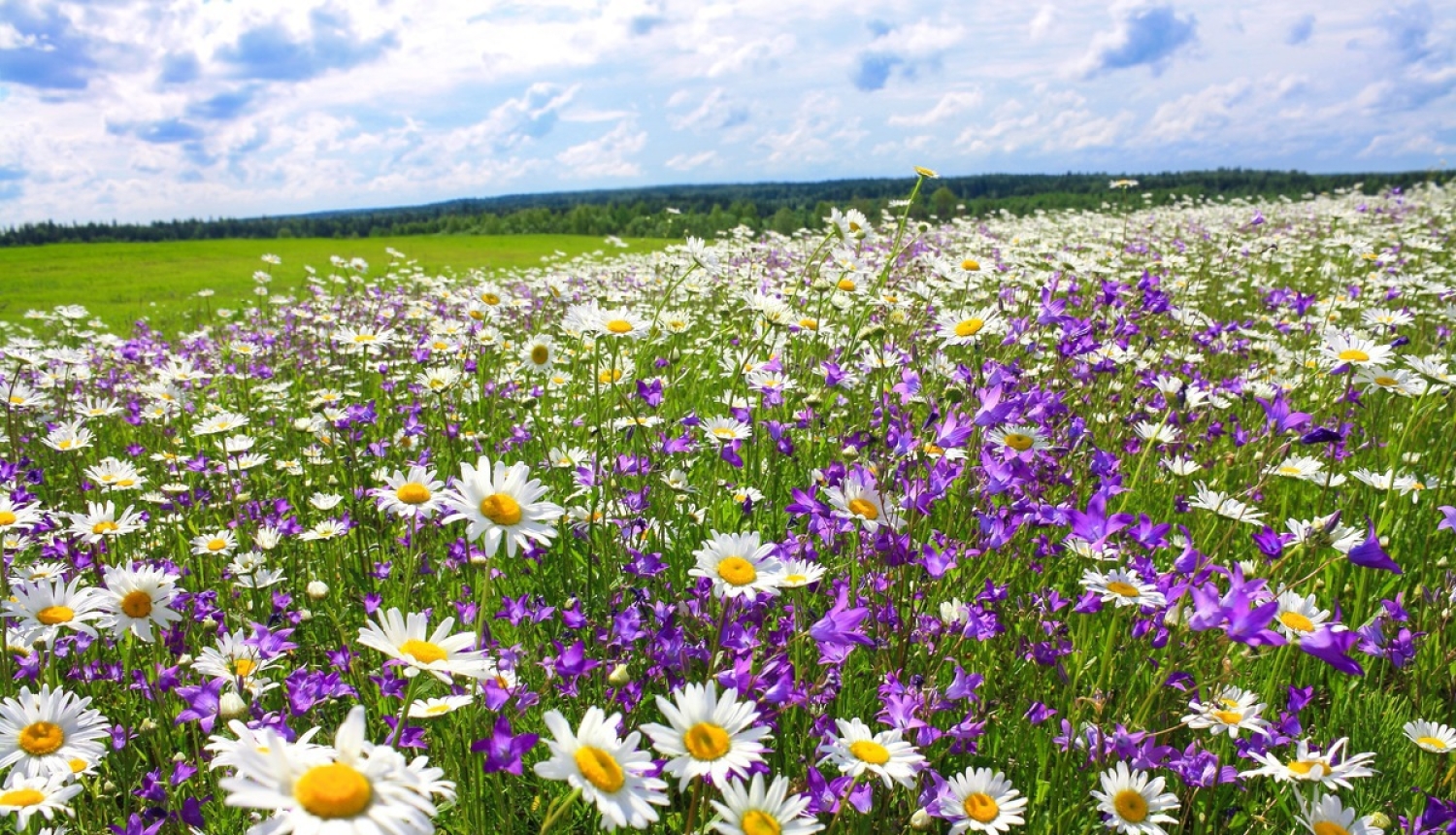 Par lauksaimniecības zemes nomas līguma reģistrāciju un iesnieguma izskatīšanu būs jāmaksā valsts nodevas