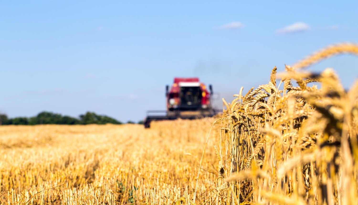 Apstiprināta valsts atbalsta piešķiršanas kārtība apgrozāmo līdzekļi iegādei lauksaimniecībā, mežsaimniecībā, zvejniecībā un akvakultūrā