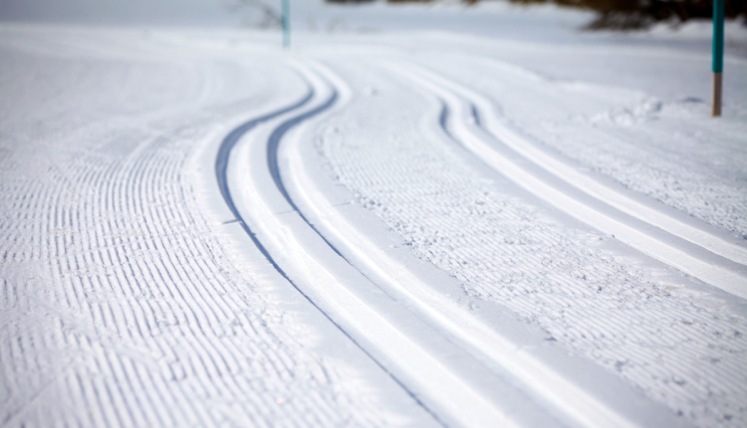 6. decembrī notiks šā gada pēdējā Latvijas Nacionālās sporta padomes sēde