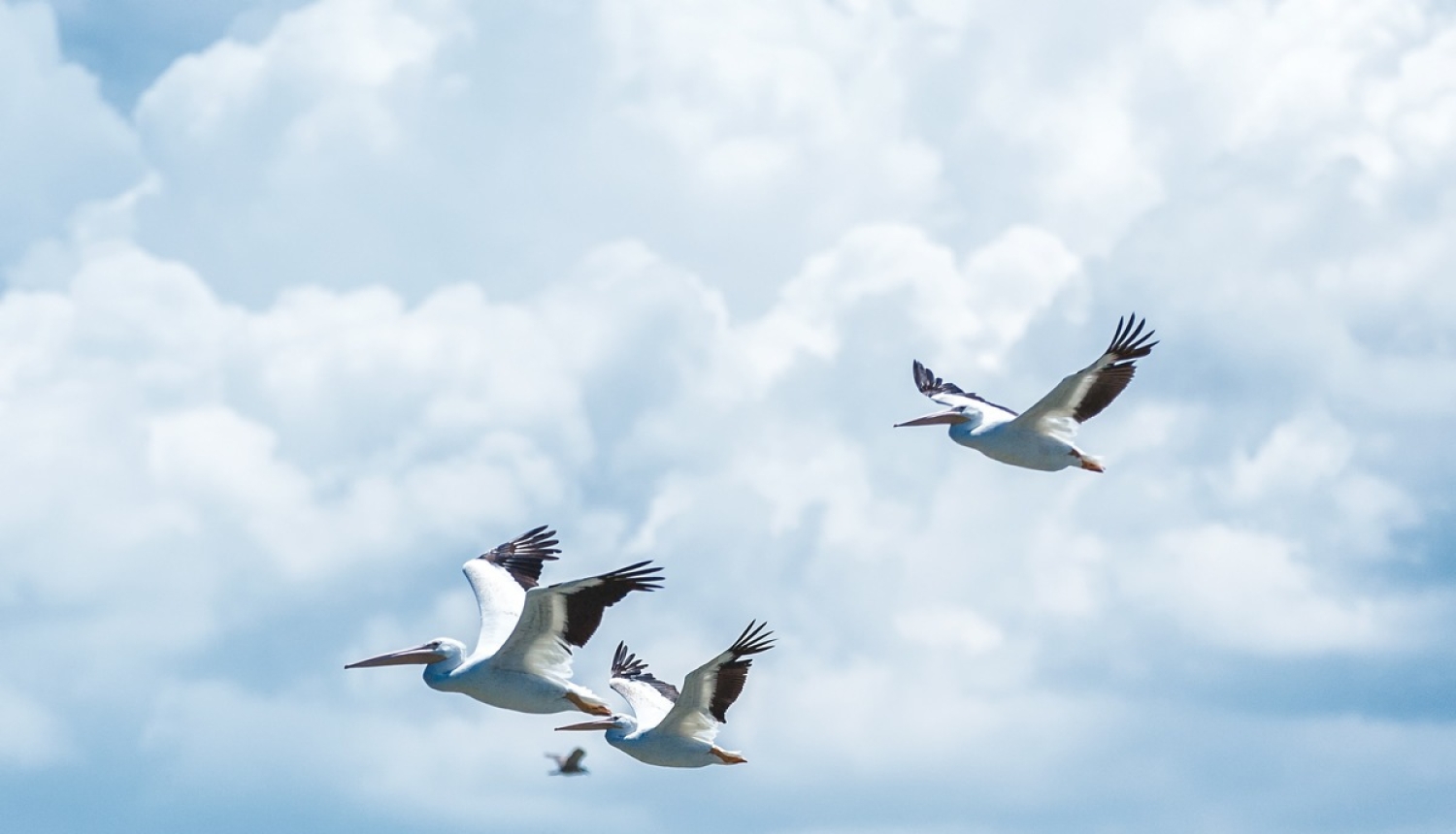 Valdība piešķir 8538 eiro pabalstu trīnīšu ģimenei