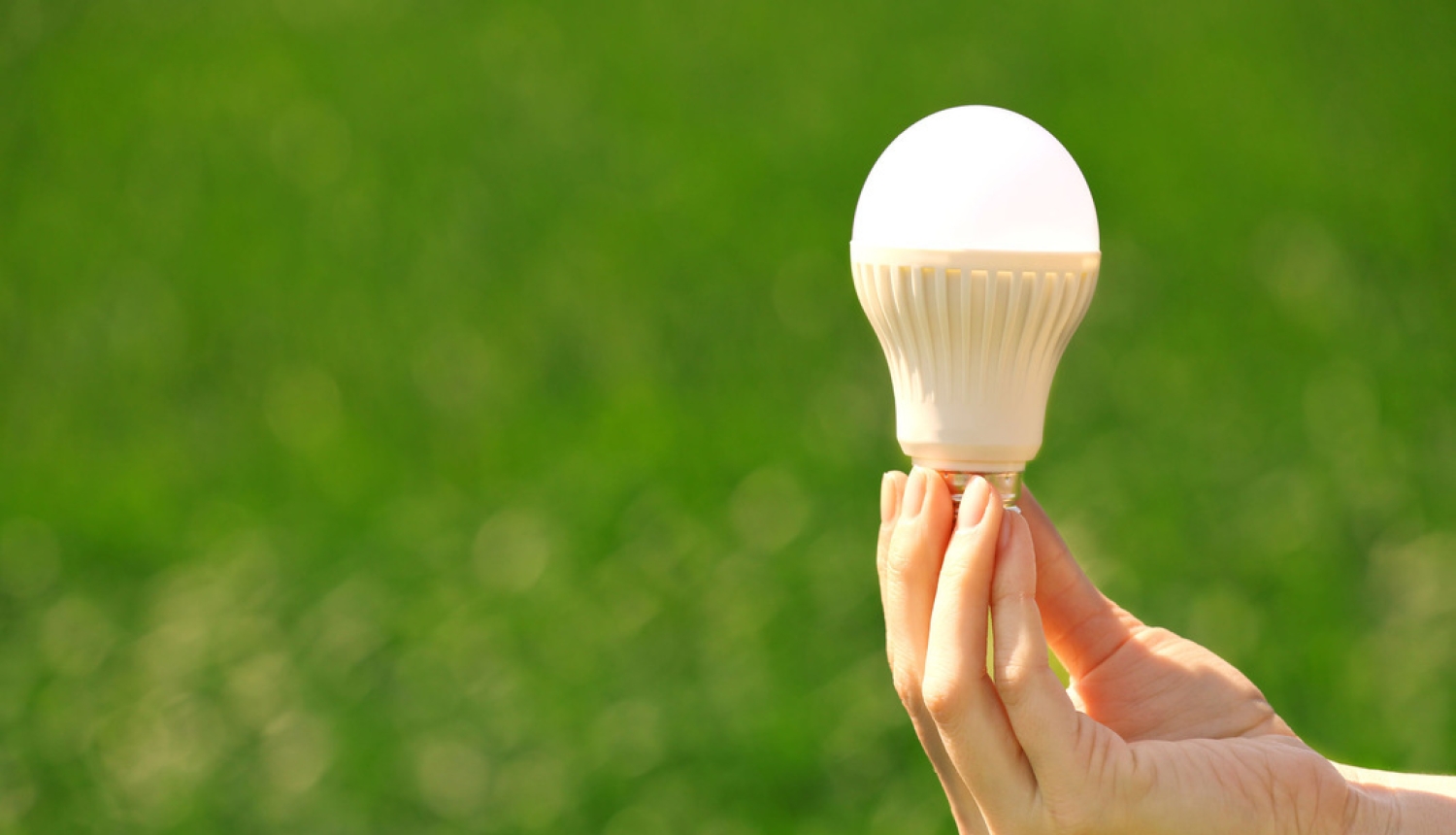 2019. gadā sasniegts VARAM plānotais mērķis Zaļā publiskā iepirkuma piemērošanā obligātajās preču un pakalpojumu grupās