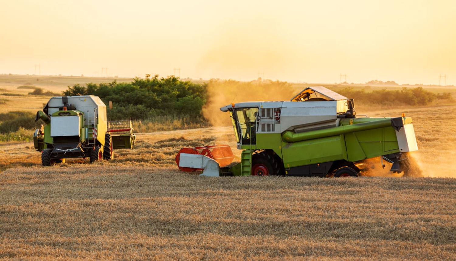 Apstiprināti noteikumi par valsts atbalstu lauksaimniecībai 2019. gadam