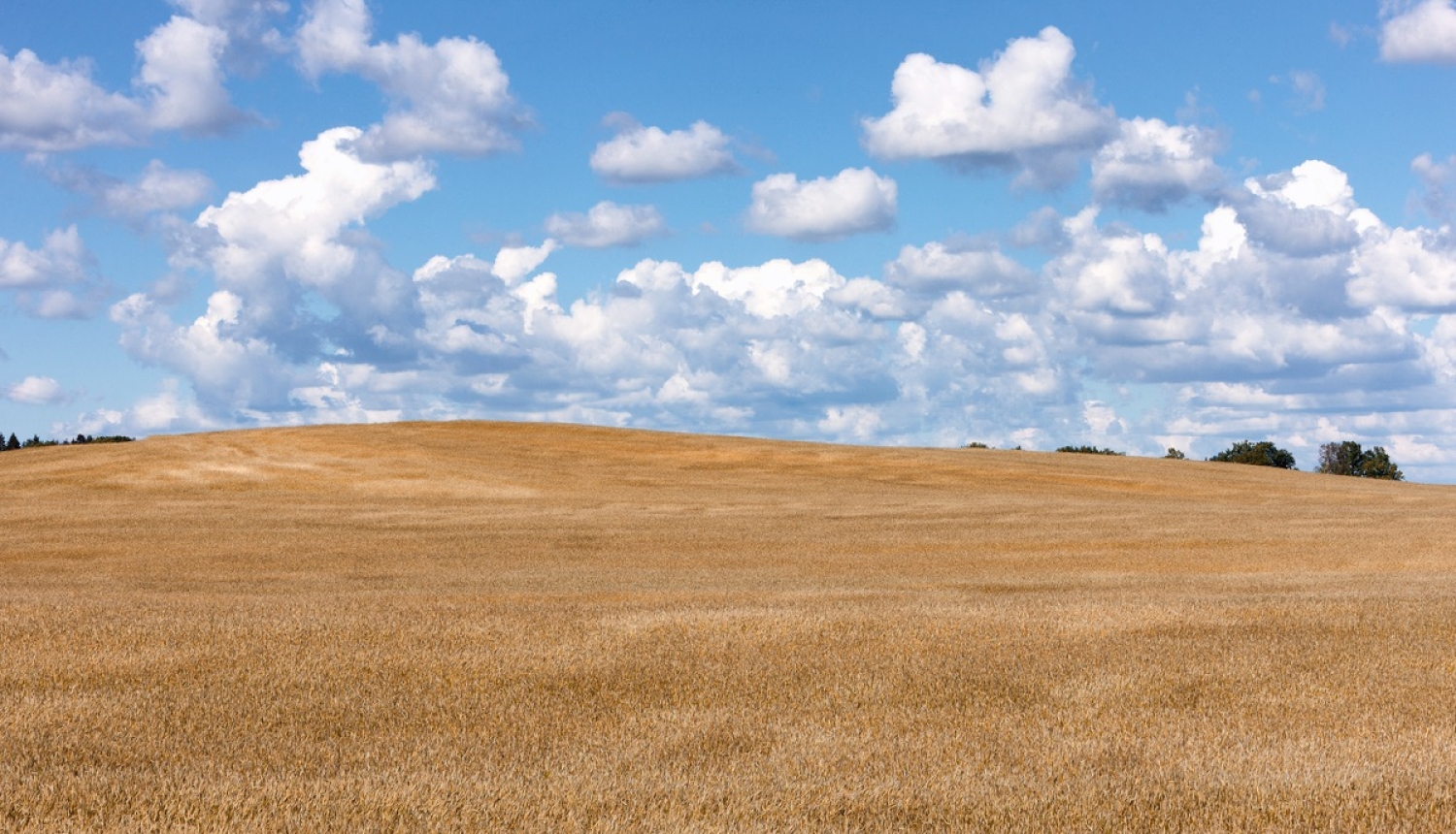 Valdība iepazinusies ar informatīvo ziņojumu par Latvijas Bioekonomikas stratēģiju laikposmam līdz 2030. gadam