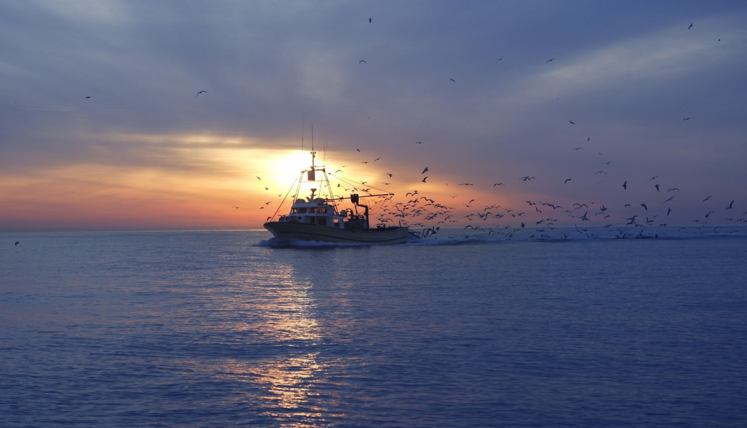 Paaugstināta attiecināmā atbalsta intensitāte kredītprocentu daļējai dzēšanai zvejniecībā