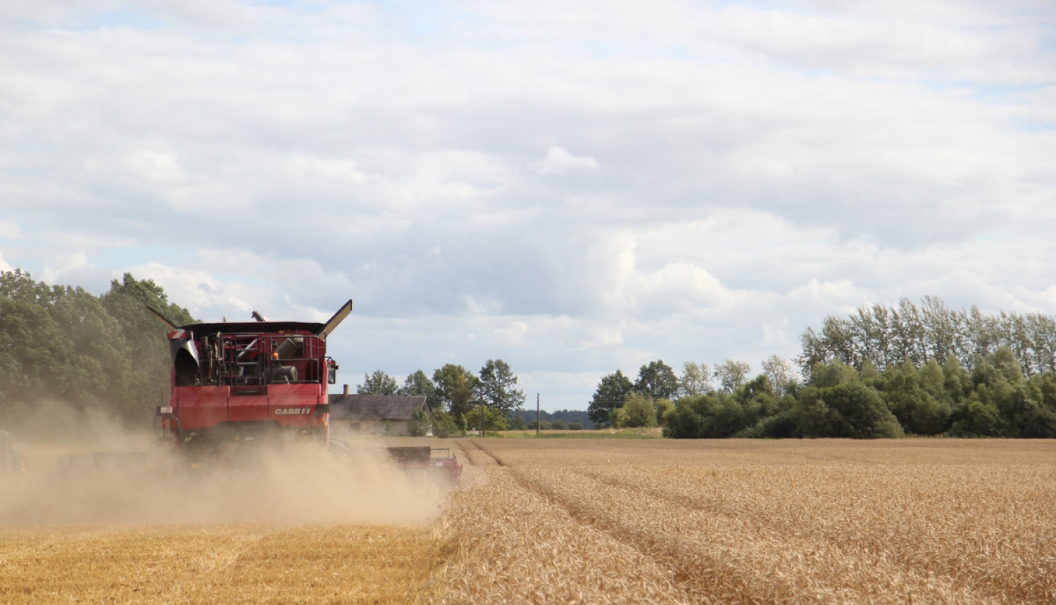 Tirdzniecībai paredzētām lopbarības sēklām būs nepieciešams veikt atkārtotu kvalitātes pārbaudi