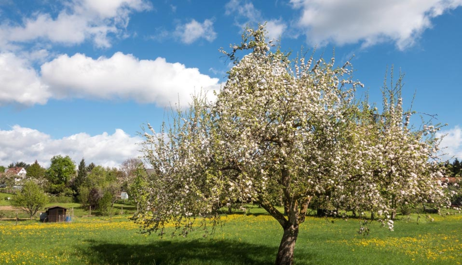 Izmaiņas atbalsta saņemšanas nosacījumos vietējām rīcības grupām un atbalsta pretendentiem