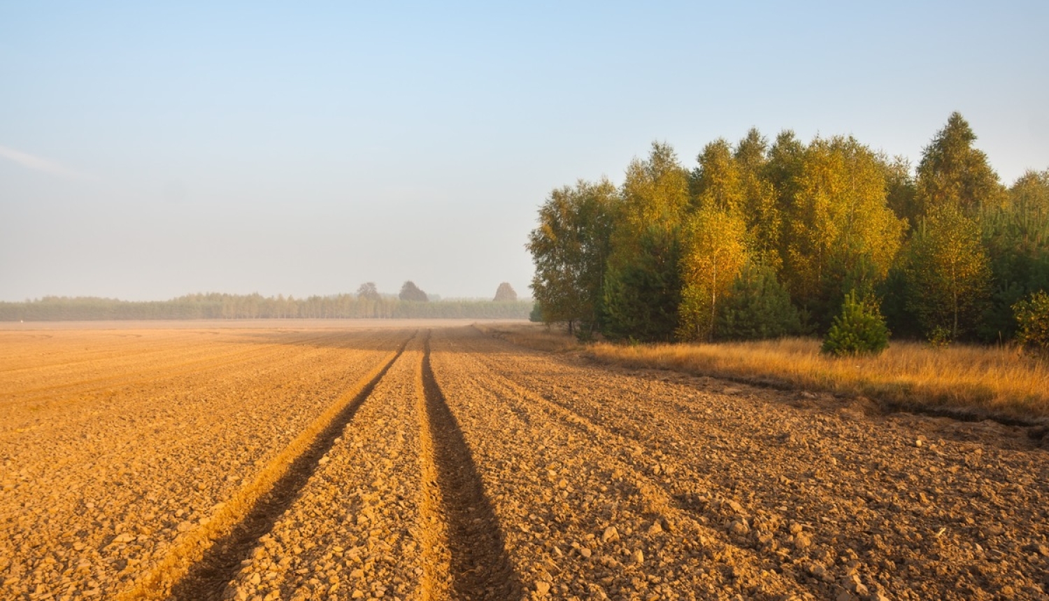 Zemkopības ministrijas paveiktais 2017. gadā