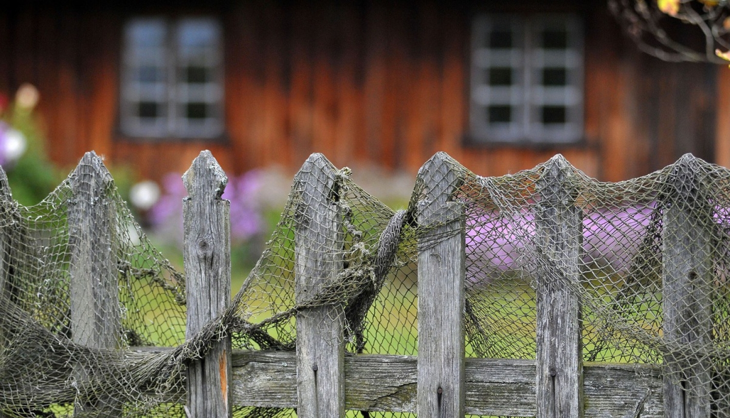 Palielināts atbalsts augstākas pievienotās vērtības produkcijas radīšanai zivsaimniecībā