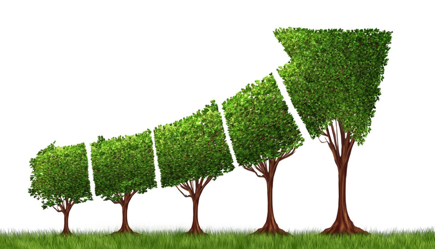 Ministrs Kaspars Gerhards: ZM primārie mērķi 2020. gadā ir ražošanas veicināšana Latvijas lauksaimniecības nozarē