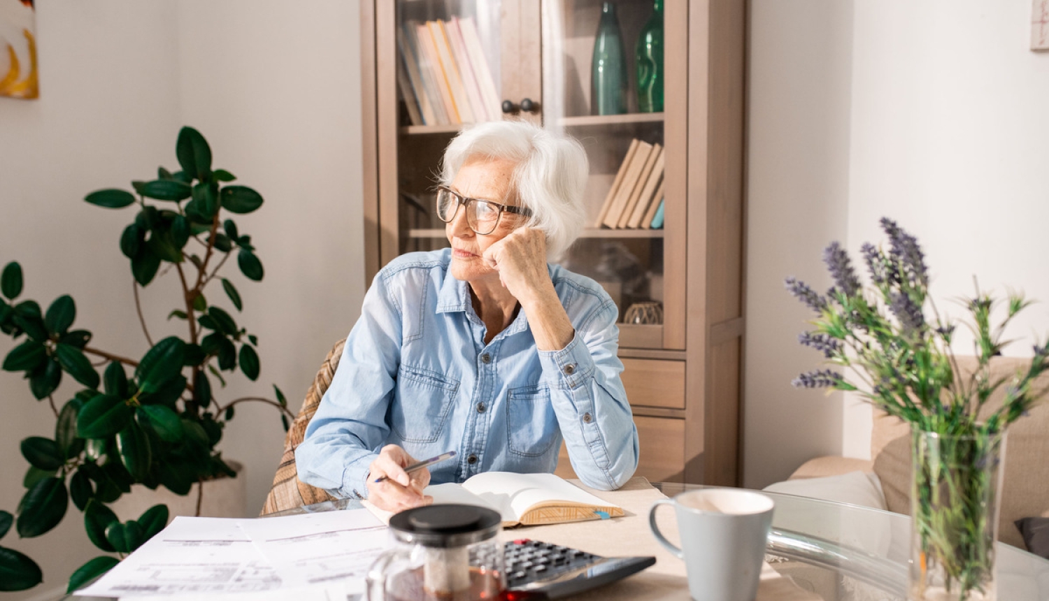Petraviča: No jaunā gada Latvijā palielinātu minimālo vecuma pensiju saņems 20 000 iedzīvotāju