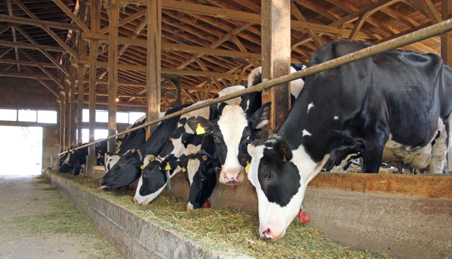 Zemkopības ministrija sniedz plašu atbalstu 45,5 miljonu eiro vērtībā lauksaimniekiem un pārtikas ražotājiem Covid-19 izraisītās krīzes laikā