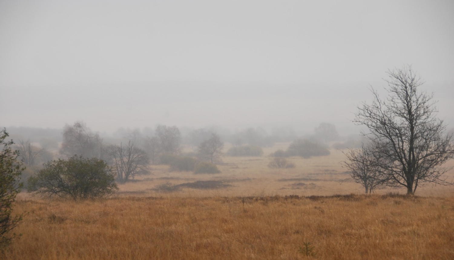 VARAM izstrādājusi “Kūdras ilgtspējīgas izmantošanas pamatnostādnes 2020.-2030. gadam”