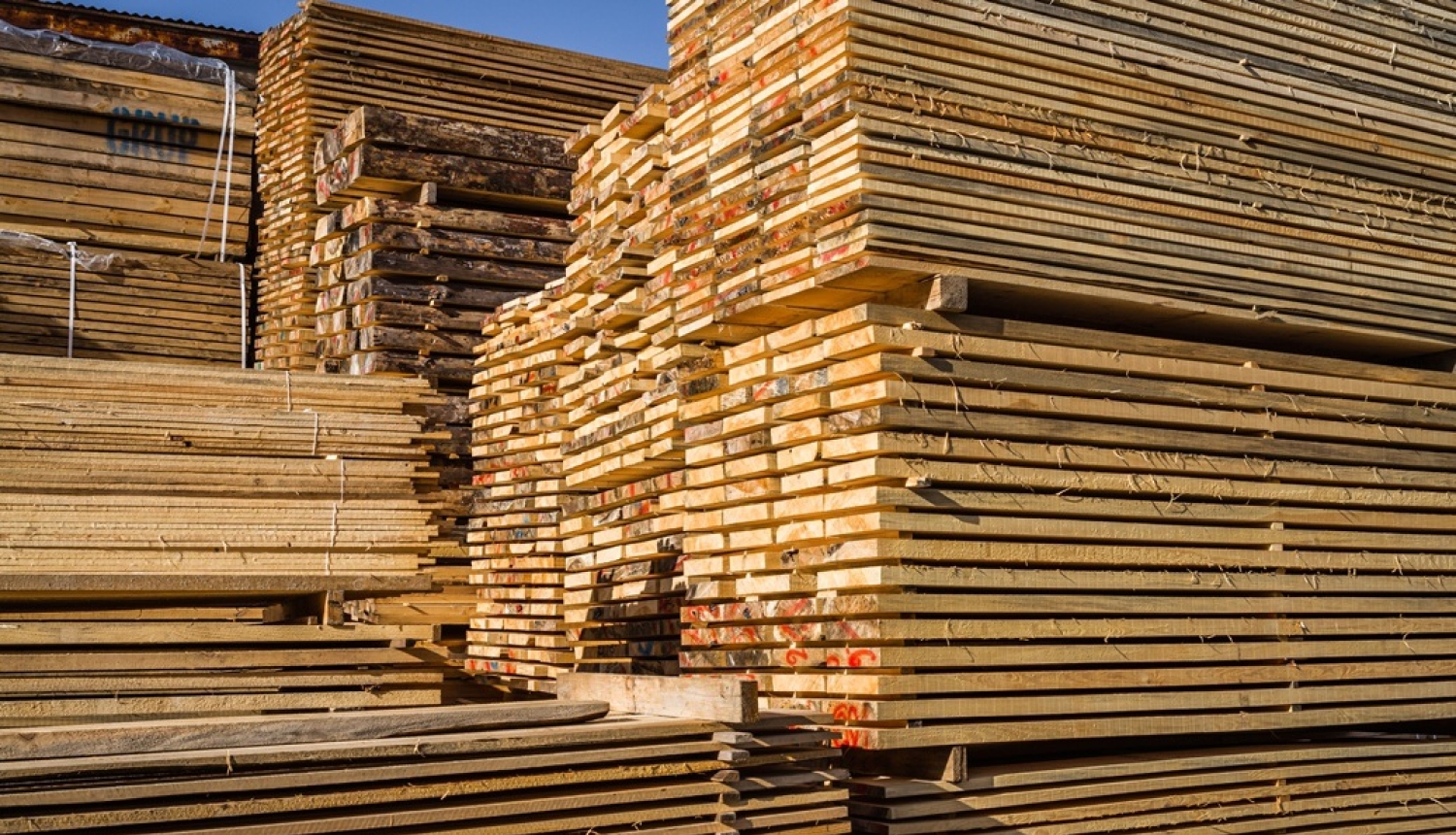 MK lemj par UIN atlaides piešķiršanu diviem kokrūpniecības uzņēmumiem – SIA “AmberBirch” un SIA “Rettenmeier Baltic Timber”