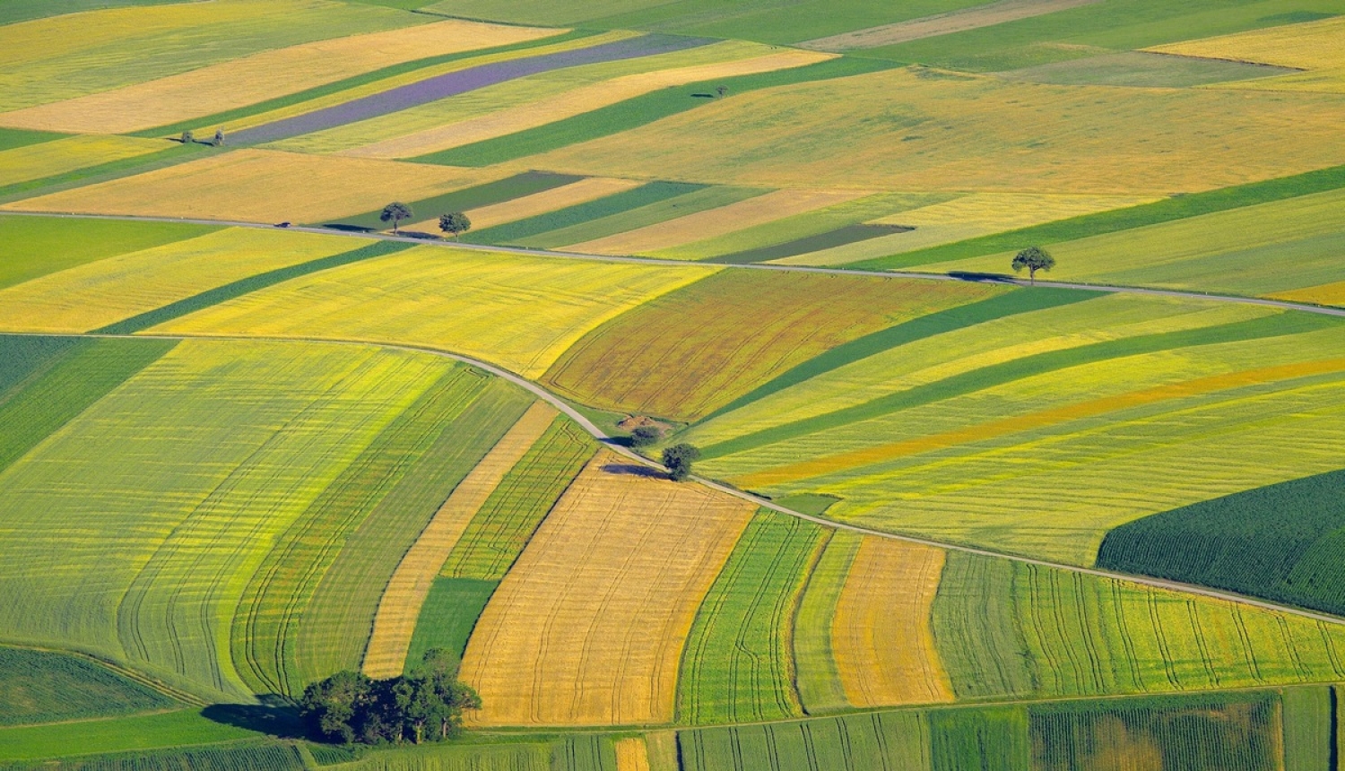 Jauna iespēja lauksaimniecības dzīvnieku, sējumu un augu apdrošināšanai